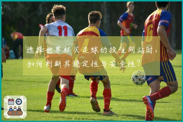 选择世界杯买足球的投注网站时，如何判断其稳定性与安全性？