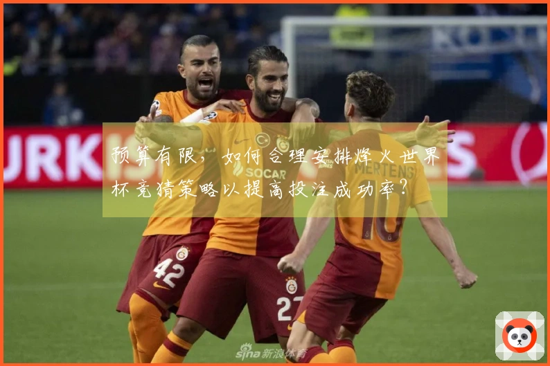 预算有限，如何合理安排烽火世界杯竞猜策略以提高投注成功率？