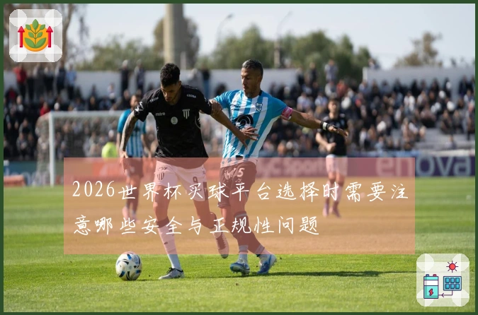 2026世界杯买球平台选择时需要注意哪些安全与正规性问题
