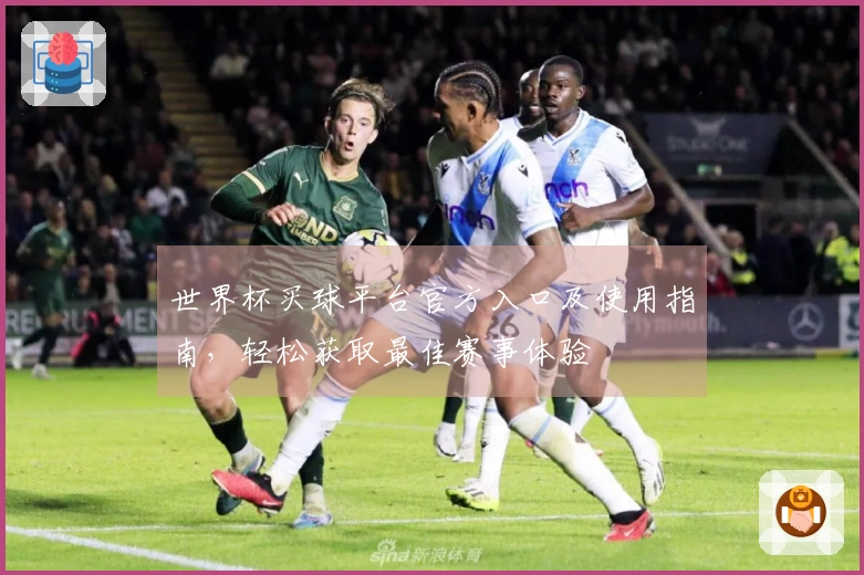 世界杯买球平台官方入口及使用指南，轻松获取最佳赛事体验