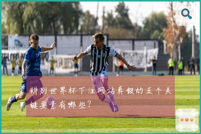 辨别世界杯下注网站真假的五个关键要素有哪些？