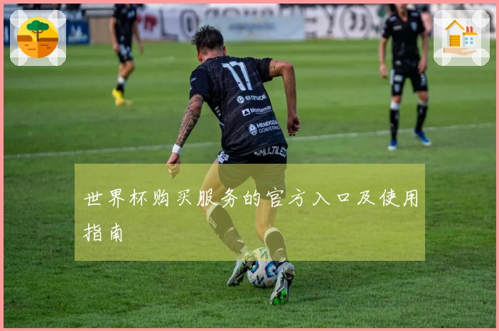 世界杯购买服务的官方入口及使用指南