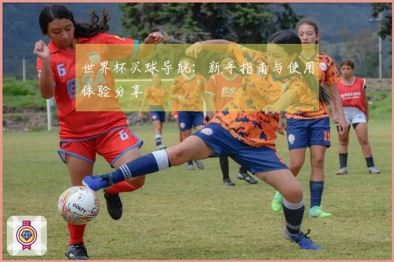世界杯买球导航：新手指南与使用体验分享