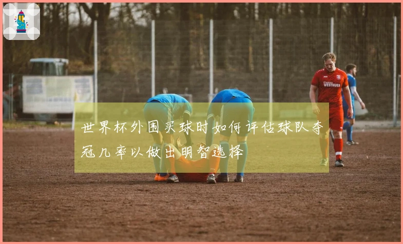 世界杯外围买球时如何评估球队夺冠几率以做出明智选择