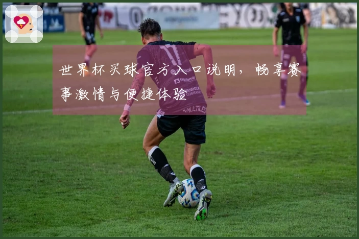 世界杯买球官方入口说明,畅享赛事激情与便捷体验