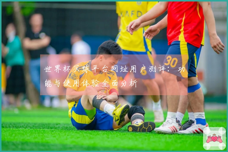 世界杯买球平台网址用户测评：功能与使用体验全面分析