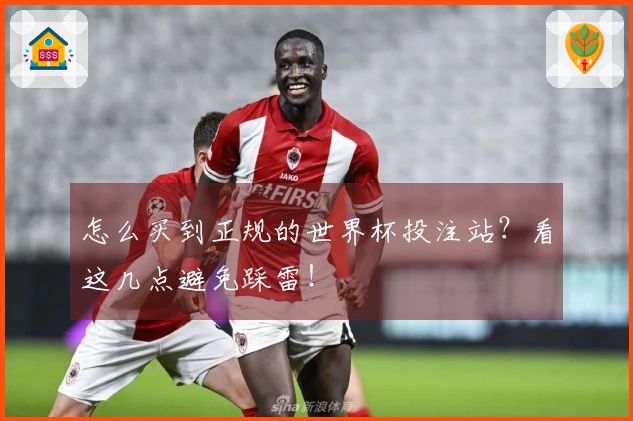 怎么买到正规的世界杯投注站?看这几点避免踩雷!