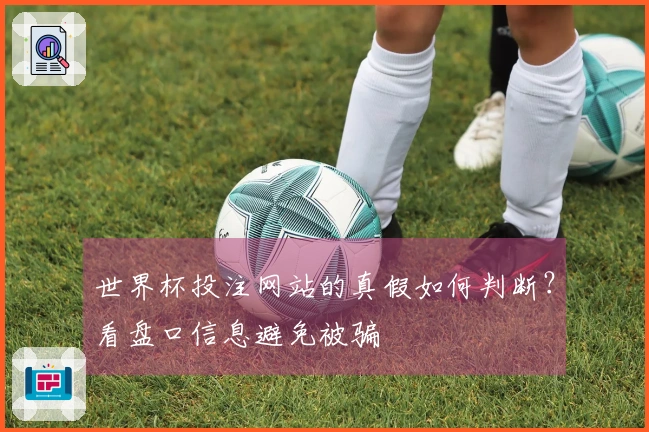世界杯投注网站的真假如何判断?看盘口信息避免被骗