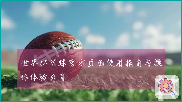 世界杯买球官方页面使用指南与操作体验分享