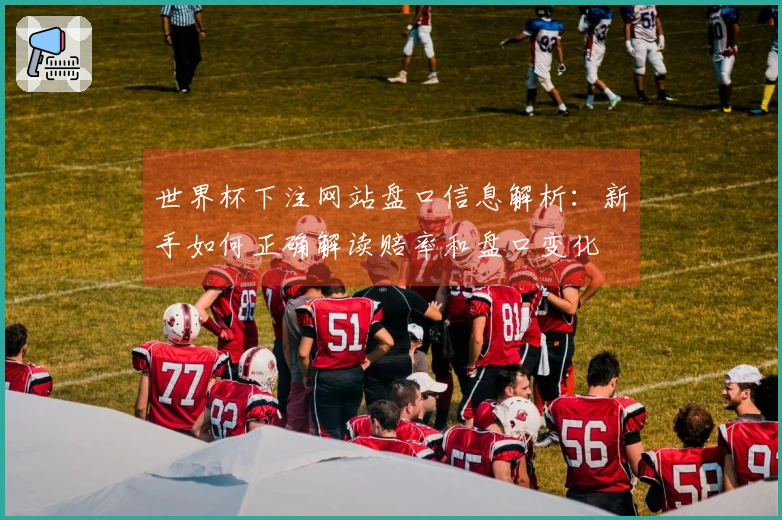 世界杯下注网站盘口信息解析：新手如何正确解读赔率和盘口变化