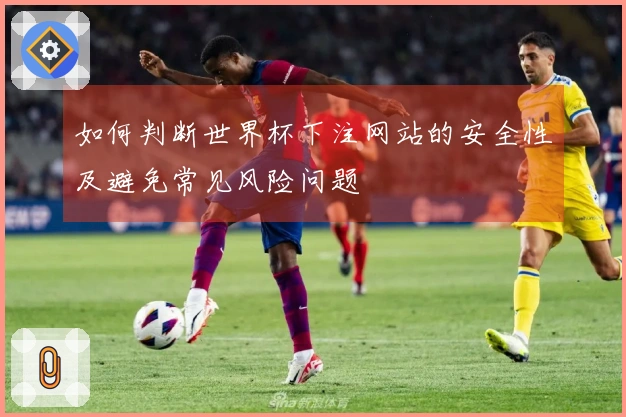 如何判断世界杯下注网站的安全性及避免常见风险问题