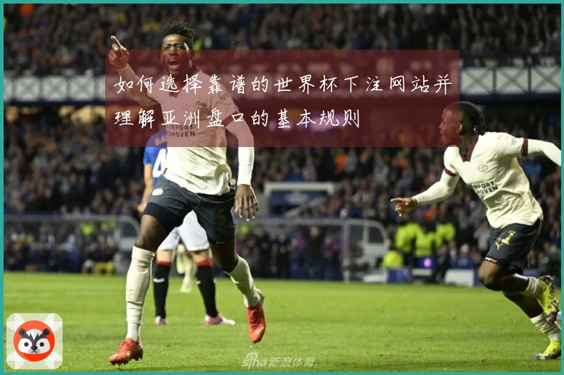 如何选择靠谱的世界杯下注网站并理解亚洲盘口的基本规则