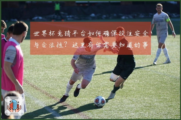 世界杯竞猜平台如何确保投注安全与合法性？这里有你需要知道的事项