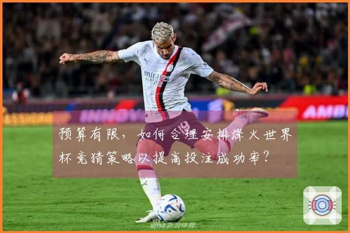 预算有限，如何合理安排烽火世界杯竞猜策略以提高投注成功率？