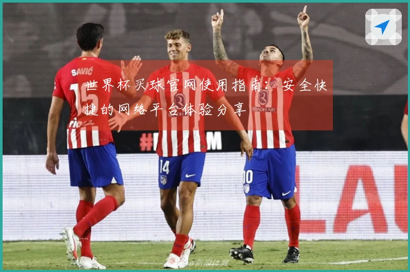 世界杯买球官网使用指南：安全快捷的网络平台体验分享