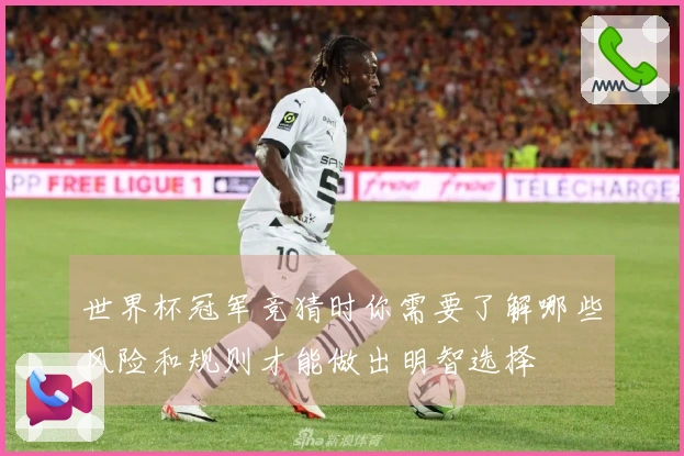 世界杯冠军竞猜时你需要了解哪些风险和规则才能做出明智选择