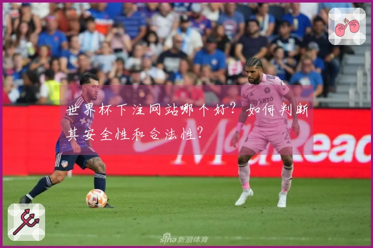 世界杯下注网站哪个好?如何判断其安全性和合法性?
