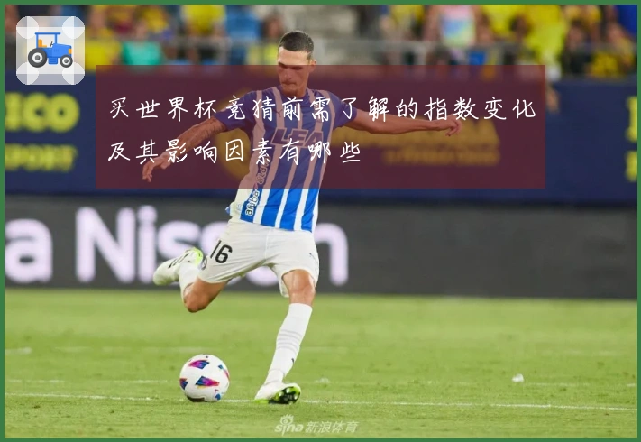 买世界杯竞猜前需了解的指数变化及其影响因素有哪些