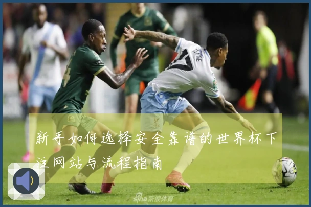 新手如何选择安全靠谱的世界杯下注网站与流程指南
