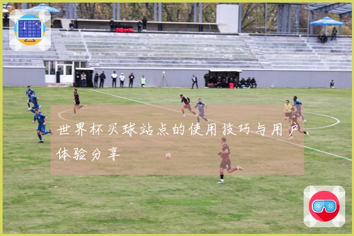 世界杯买球站点的使用技巧与用户体验分享