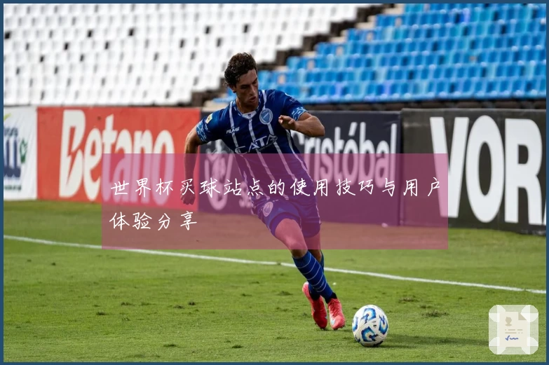 世界杯买球站点的使用技巧与用户体验分享
