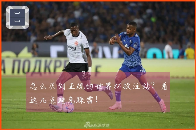 怎么买到正规的世界杯投注站？看这几点避免踩雷！