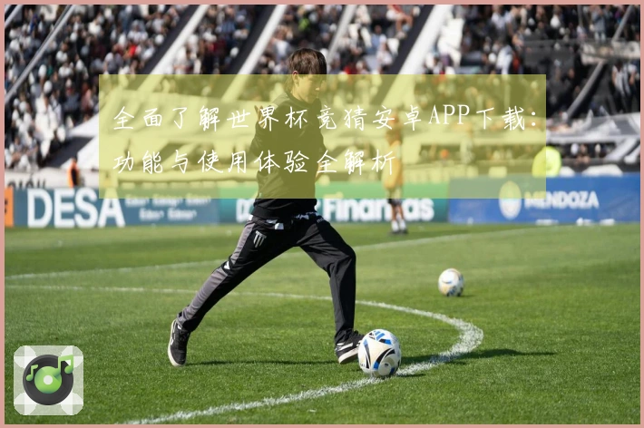 全面了解世界杯竞猜安卓APP下载:功能与使用体验全解析