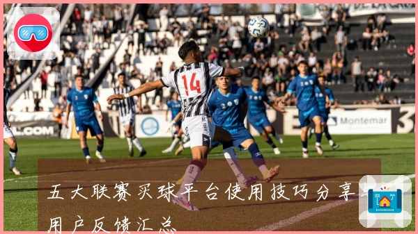 五大联赛买球平台使用技巧分享与用户反馈汇总