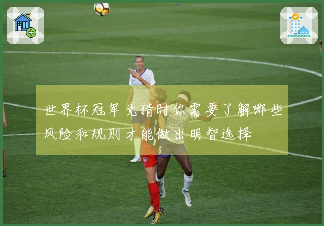 世界杯冠军竞猜时你需要了解哪些风险和规则才能做出明智选择